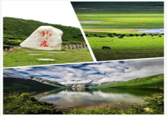 廣州到阿壩物流專線，專業(yè)運(yùn)輸廣州至阿壩貨運(yùn)公司