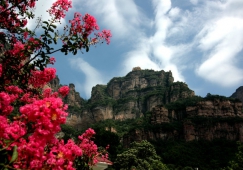 廣州到安陽(yáng)物流專線，廣州到安陽(yáng)貨運(yùn)公司